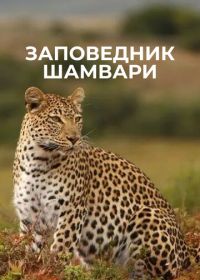 Заповедник Шамвари (2018) Shamwari Untamed