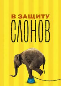 В защиту слонов (2013) An Apology to Elephants