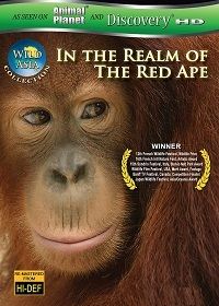 Дикая Азия: В царстве рыжей обезьяны (2009) Wild Asia: In the Realm of the Red Ape