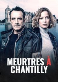 Убийства в Шантильи (2023) Meurtres à Chantilly