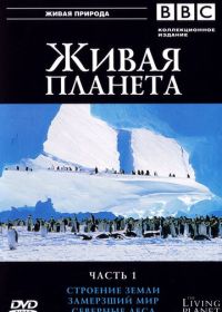 BBC: Живая планета (1984) The Living Planet