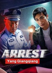 Арестовать неуловимого Яня (2024) Arrest Yang Qiangqiang