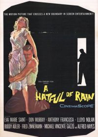 Шляпа, полная дождя (1957) A Hatful of Rain