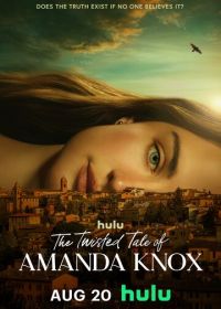 Запутанная история Аманды Нокс (2025) The Twisted Tale of Amanda Knox