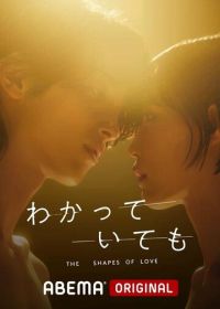 Формы любви (2024) Wakatte Ite mo: The Shapes of Love