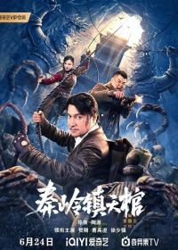 Небесная гробница Цинлиня (2023) The Sky Coffin in Qinling Town