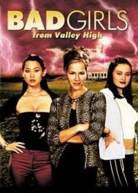 Плохие девчонки из высокой долины (2005) Bad Girls from Valley High